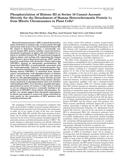 (PDF) Phosphorylation of Histone H3 at Serine 10 Cannot Account Directly for the Detachment of ...