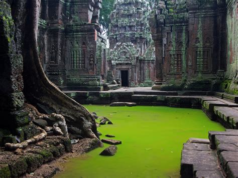 Ta Prohm Temple, Cambodia photo on Sunsurfer