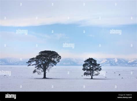 Lake Baikal, winter Stock Photo - Alamy