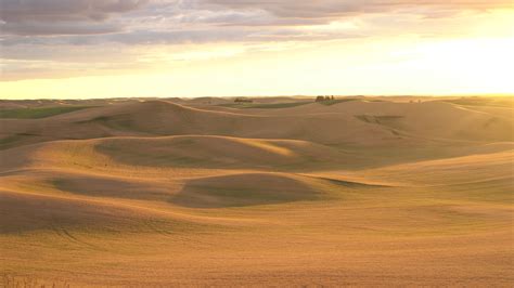 Palouse Sunset 1294052 Stock Video at Vecteezy