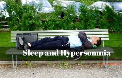 Hypersomnia - Definition, Symptoms, Causes, and More - The Sleep Holic