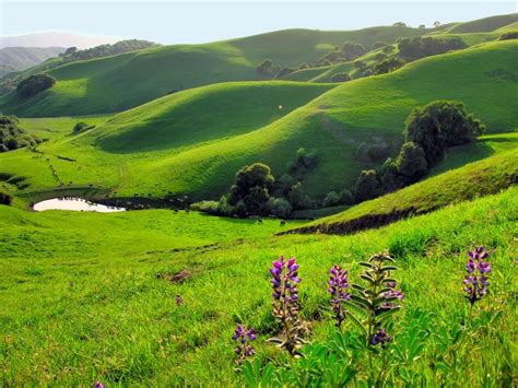 4 Contra Costa County Parks to Visit in Spring | Via