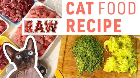 Make RAW CAT FOOD RECIPE | Homemade Cat Food - YouTube