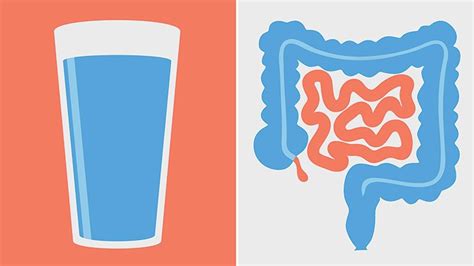 What Are the Complications of Gastroenteritis? | Everyday Health