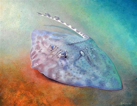 Thornback Ray Original Painting - Deep Impressions Underwater Art