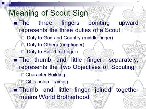 Scout Sign - LSVMS Boy Scouts of the Philippines