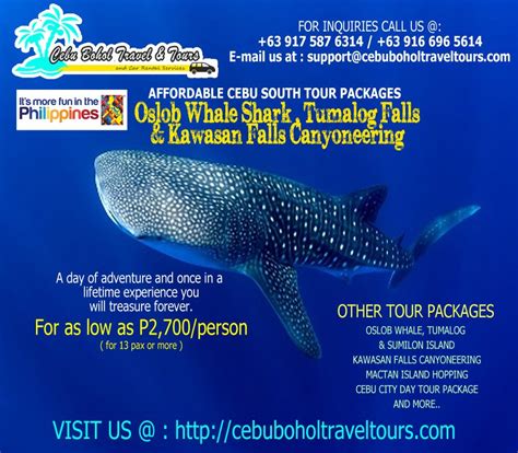 Oslob Whale Shark Adventure - Cebu Tour