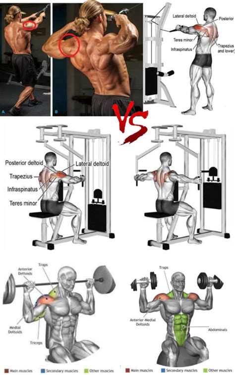 How to Delts Exercises Sets & Reps Guide