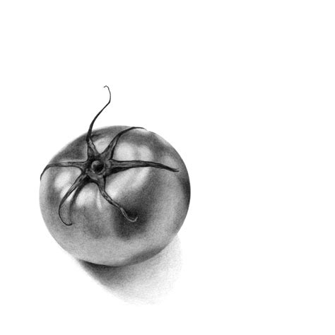 Tomato, Me, Pencil, 2022 : r/Art