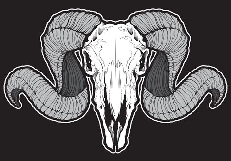 Skull of ram with curved horns 7958990 Vector Art at Vecteezy