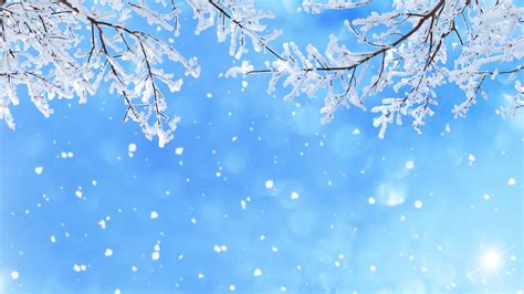 Blue Snow Wallpaper