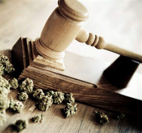 Marijuana Laws & Charges in Florida