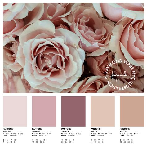 Pantone Perfection Blush Rose Palette