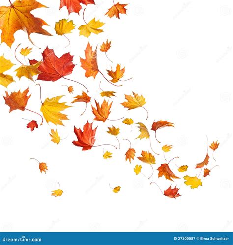 Autumn Falling Leaves Royalty Free Stock Photography - Image: 27300587