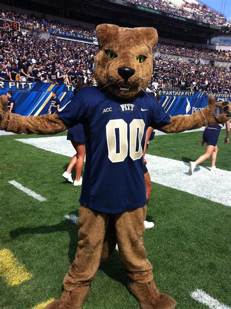 17 Best images about Pitt Panthers on Pinterest | Pitt football, College football and Bowl game