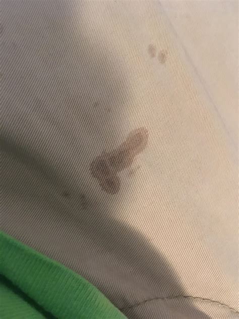 This stain on my pants. : r/mildlypenis