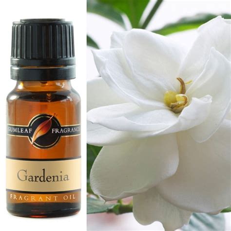 Gardenia Fragrance Oil - Traditional Herbs and Scents