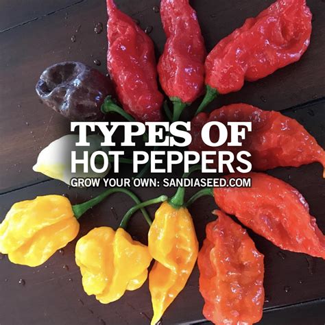 Types Of Hot Peppers Chart