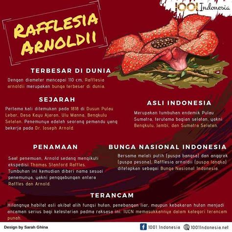 Rafflesia Arnoldii, Bunga Endemik Sumatra dan Terbesar di Dunia