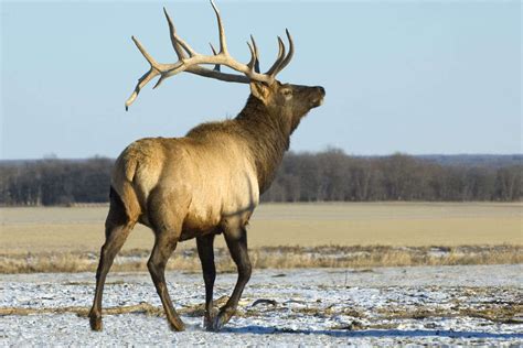 Riding Mountain National Park, Manitoba - Times of India Travel