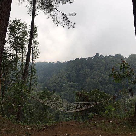 Grafika Cikole Outbound Area (Lembang) - 2019 All You Need to Know Before You Go (with Photos ...