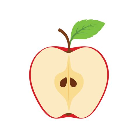 Apple fruit vector illustration. Cut half of an apple. Ripe apple fruit ...