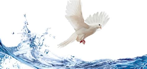 What is True Baptism? Water or holy spirit? | Spirit & Truth