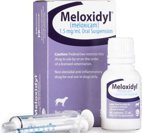 Meloxicam for Dogs Guide: How it Works [Dosage & Side Effects] - All Pet's Life