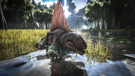 ARK Survival Ascended Dimetrodon taming guide