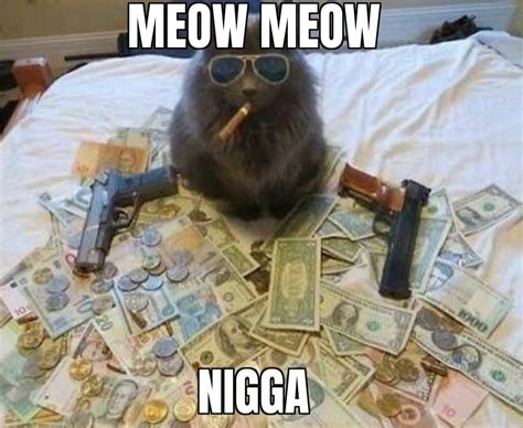 Cat gang incoming : r/ComedyCemetery