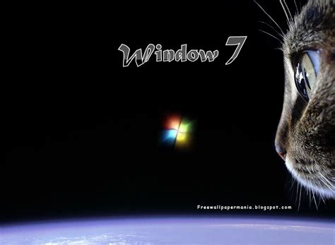 🔥 [50+] Windows 7 Wallpapers Cats | WallpaperSafari