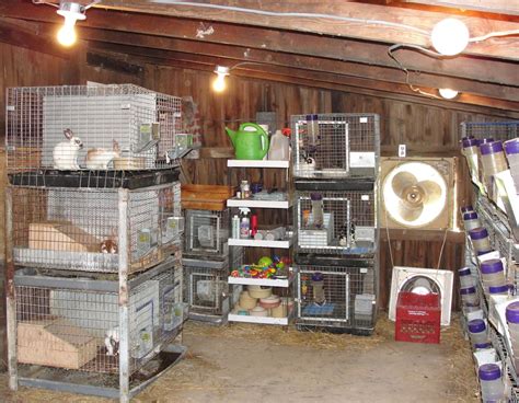 Rabbitry | Raising rabbits, Raising rabbits for meat, Woodworking ...