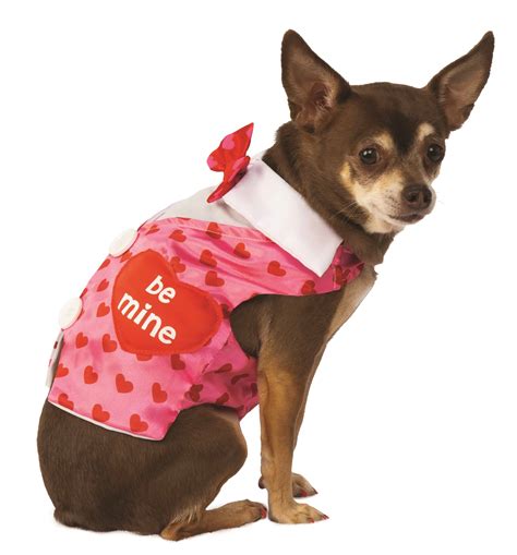 Valentine Day Vest Dog & Cat Costume - Pet Costume Center