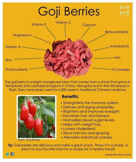 Goji berries, Goji, Berries