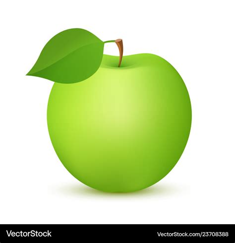 Apple fruit green color realistic icon Royalty Free Vector