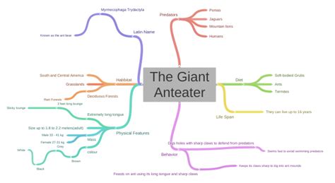 The Giant Anteater (Predators (Jaguars, Mountain lions, Pomas, Humans),…