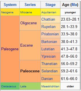 Paleocene - AntWiki