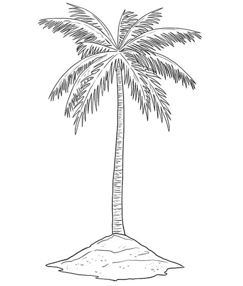 Palm Trees Beach Drawing