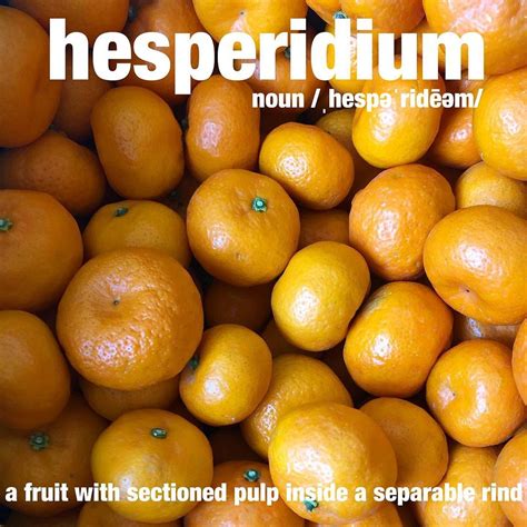 Definition Of Hesperidium Fruit