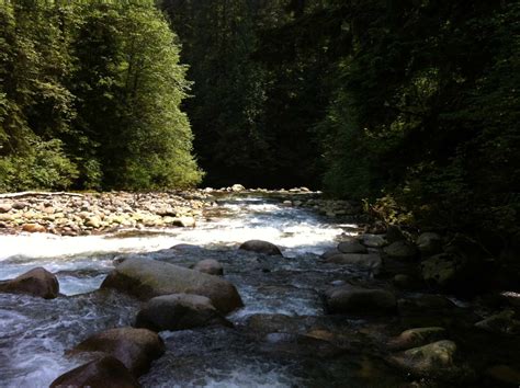 Lynn Valley Hiking Trails - Lynn Valley Life | Your resource for Lynn Valley events, community ...