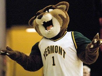 The Catamount | Mascot, Catamount, Cool cats