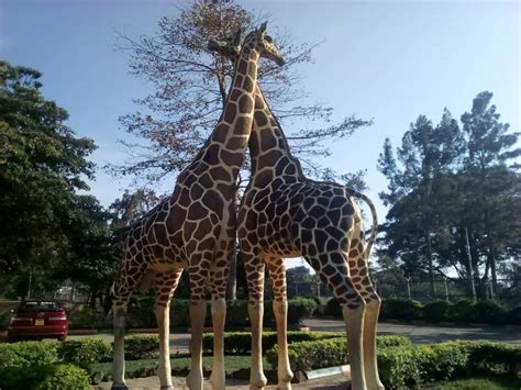 Entebbe Zoo Issues Guidelines to Visitors Ahead of Reopening | ChimpReports