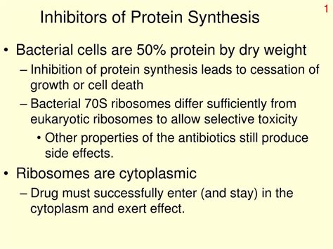 PPT - Inhibitors of Protein Synthesis PowerPoint Presentation, free download - ID:6518329