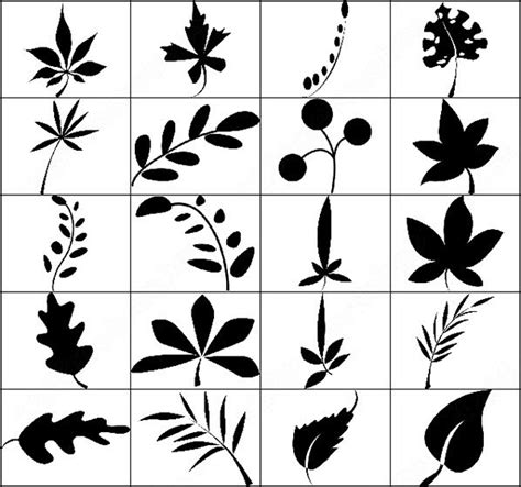 Leaves brush photoshop brushes in Photoshop brushes abr ( .abr ) format ...