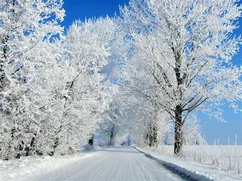 winter – Tyszowce , Lublin Voivodeship, Poland | Free Travel wallpapers ...