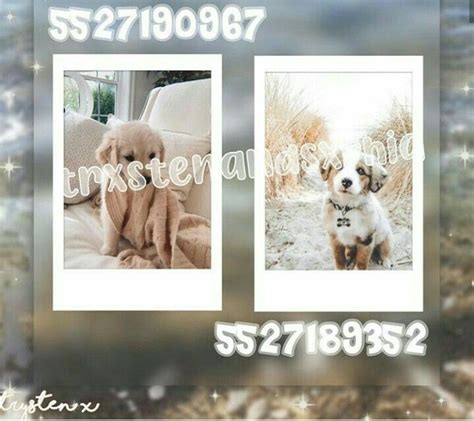 Cute puppy Polaroid [not mine] | Roblox pictures, Bloxburg decals codes ...