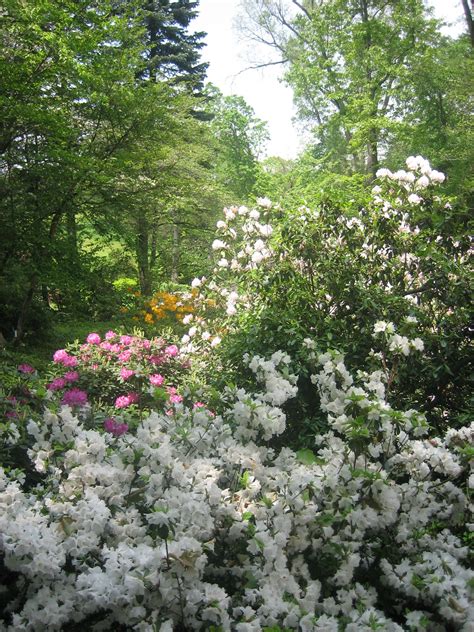 Hidden Lake Gardens | Secret garden, Lake garden, Garden