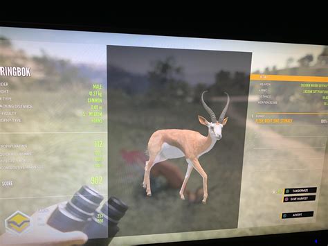 First Diamond : r/theHunter