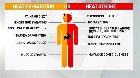 Heat exhaustion vs. heat stroke: Here's how to know the difference