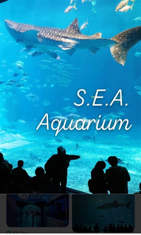 Sentosa Sea Aquarium adult tickets cum New attraction SkyHylix tickets ...